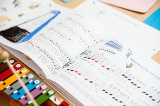 华体会app下载-中小学体育课安全教育实施现状研究，体育课堂安全背景下的小学体育课现状